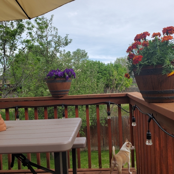 Meet your Posher, Jen - Picture 7 of 10